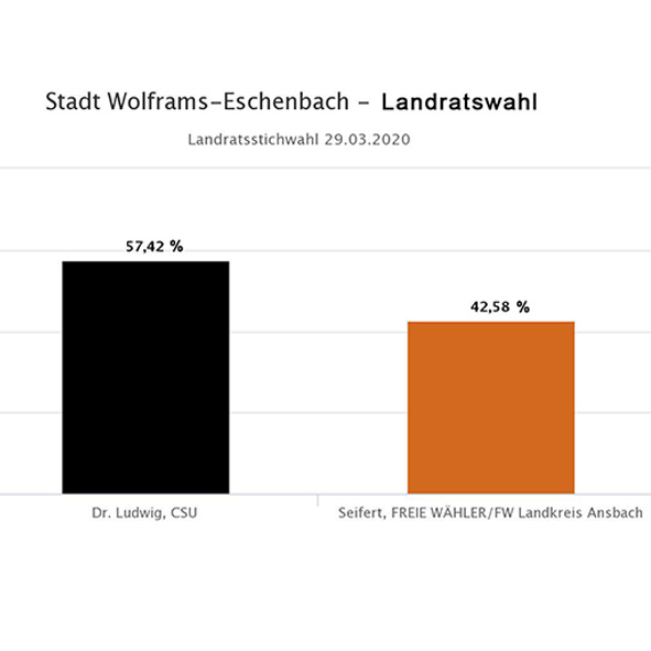 Landratswahl 2020