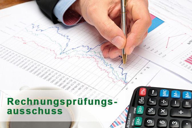 Rechnungsprüfungsausschuss